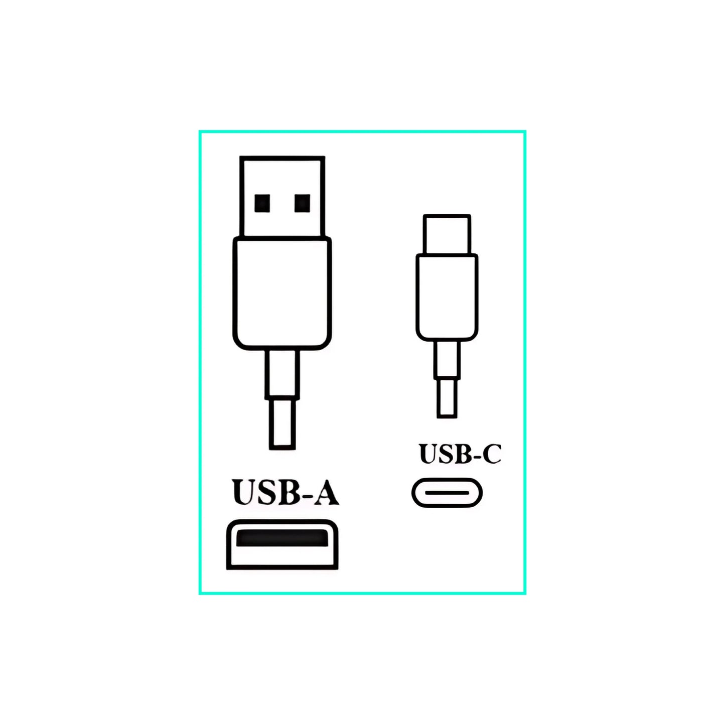 A055 Wega Cell Acc-1 pcs